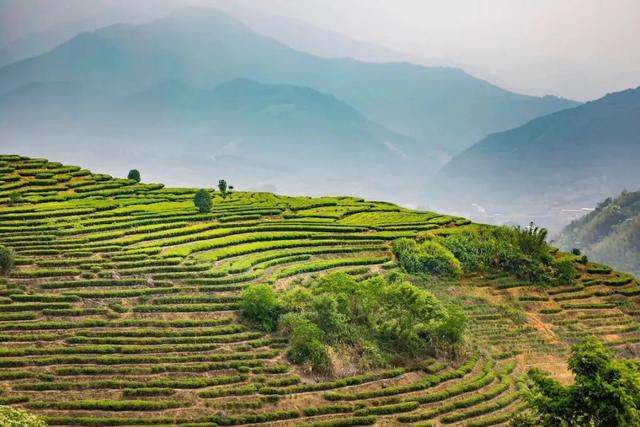 【超级宝妈】别样过假期,携手共育促成长——家乡篇