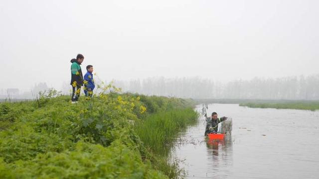 小龙虾|叮咚买菜App推出“拳击虾”品牌，“活虾新制”48小时直达餐桌