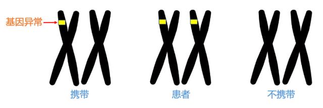 素衣飘扬|哈医大一院产前诊断中心权威解读：出生缺陷早预防，孕产筛查最关键！