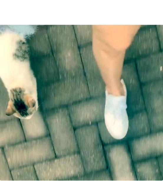 孙红雷与娇妻有多甜?每天给妻子送花、备宵夜,硬汉化身为女儿奴|9号放映厅