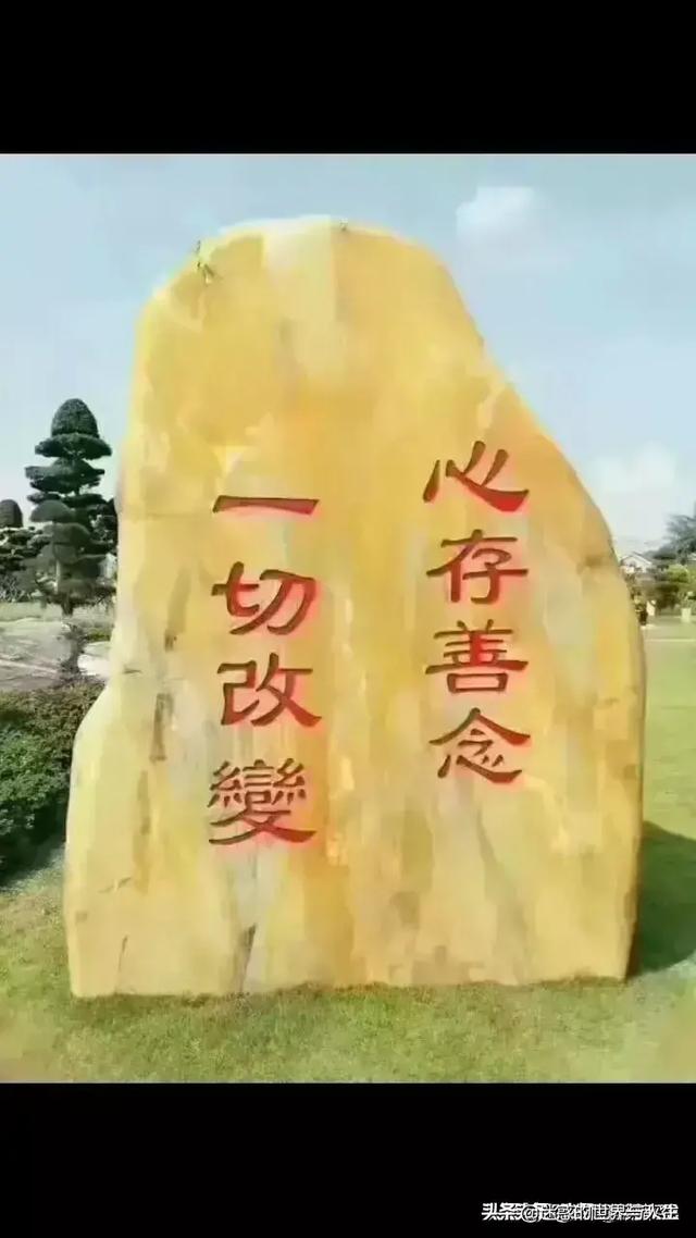 愿每个生命岁月静好？