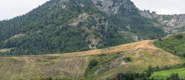 细致入微！微距镜头捕捉花草别样美