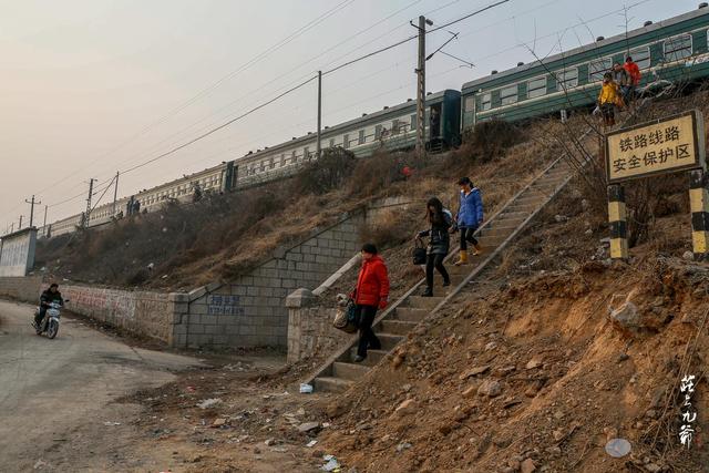 「世界那么大」古镇的古树都长到古宅的房间里了 奇怪的是却名不见经传