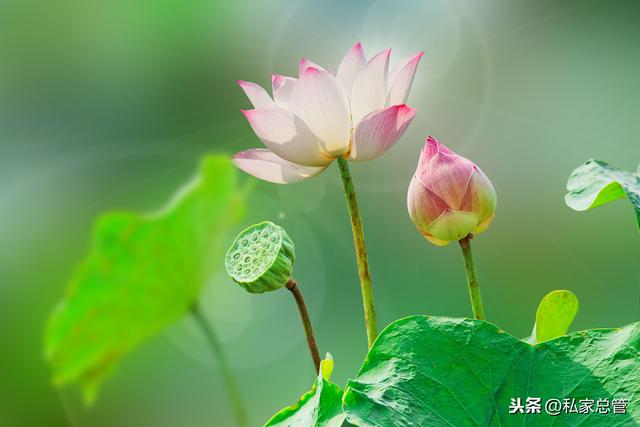 All Realms are Impermanent: To be is to have an End, Not to be is to not Die; This is the Greatest Bliss