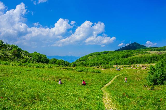 旅行百事通：推荐：北京的空中花园，最美的避暑地，绿野仙踪处，云海百花香