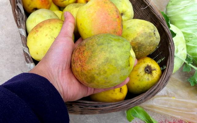 云南这木瓜，6块钱一斤，遇见多买几个，能生吃能做菜，酸甜爽脆