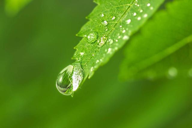 保暖|雨水节气防“倒春寒”，护好“面子”顾好“里子”