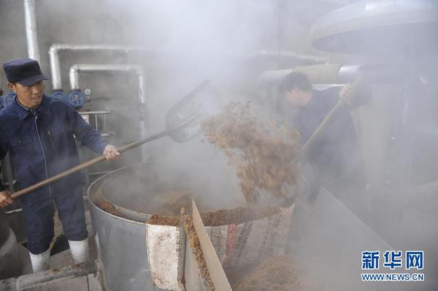 大黄米酒香飘冬日