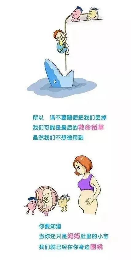 烟雨琴殇|常被忽视的新生儿干细胞，却成为了健康到老的秘密法宝!
