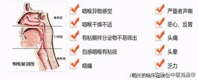 咽炎：咽喉疼痛还有痰？中医治疗效方一则（附咽炎茶饮方）