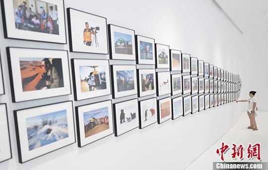 蛋糕|谣言、改名、分家……好利来还能好利滚滚来？