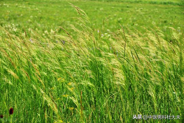 肾虚表现各不同，如何正确判断你是哪种肾虚？