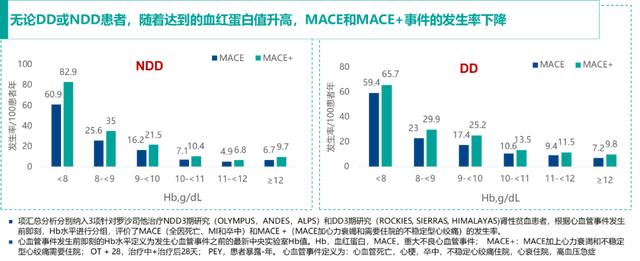 变革与希望：HIF与CKD贫血“相遇之道”