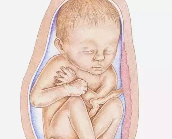 超级宝妈|胎儿在孕妈肚子里有“三怕”，早中晚3个阶段，妈妈要多加注意