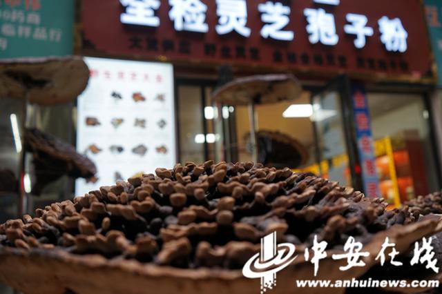 中药|「春游江淮请您来」草木飘香 药都亳州