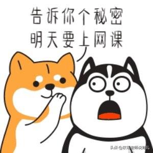 「超级宝妈」打网课游击战的孩子VS网课焦虑的父母，网络教育该何去何从？