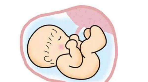 你的育儿经：婴儿脐带多久脱落？脱落前一定要这样做