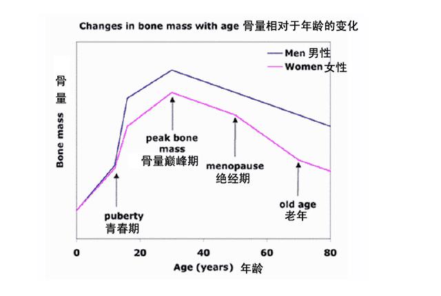 维生素D|骨质疏松危害大、难预防？骨科医生帮你梳理九大治疗误区