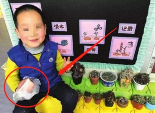 你的育儿经：“奶奶，老师让带多肉”，第二天孩子带来的东西，让老师哭笑不得