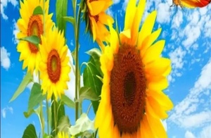 Live Well, Enjoy Life, Each Year is Better Than the Last