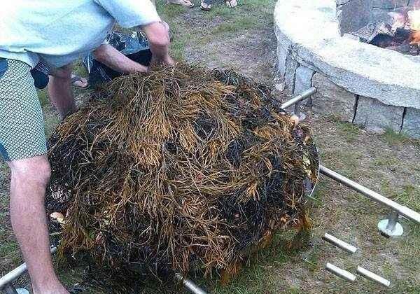 #趣旅游#外国人的野炊烧烤，中国吃货看了：简直是浪费粮食啊