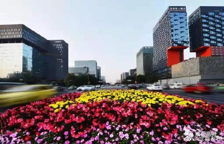 成都|成都高新区集中签约14个项目