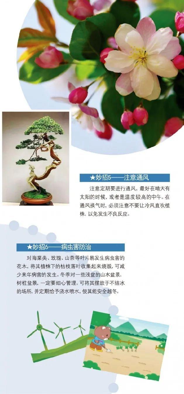 冬天越来越近，家中花花草草怎么养护？请收下这份攻略