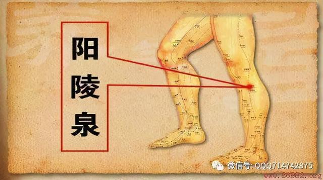 健康一招灵 | 这里疼，那里疼，全身都疼？这套“止痛操”学起来