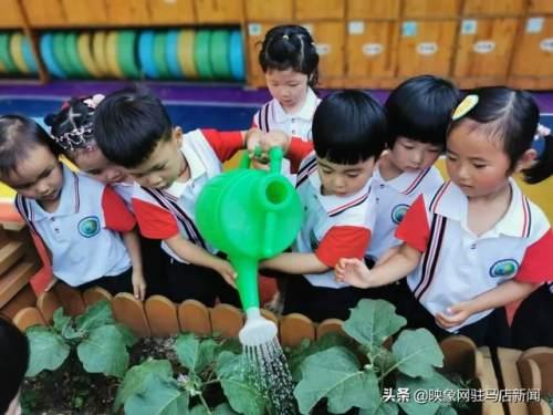 超级宝妈|西平县直第二幼儿园“六一”系列活动纪实