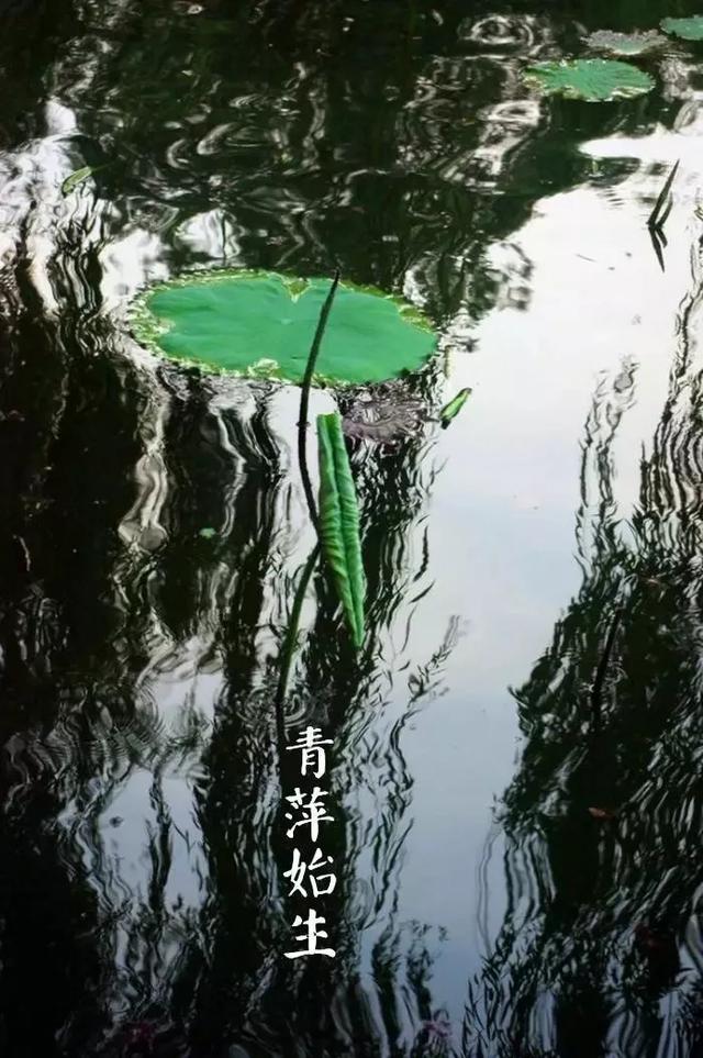超级宝妈@《给孩子的节气古诗词》中十首谷雨诗词，留住最后一抹春色