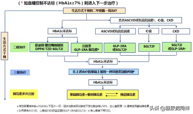 2020版《中国2型糖尿病防治指南》发布,更新要点速览