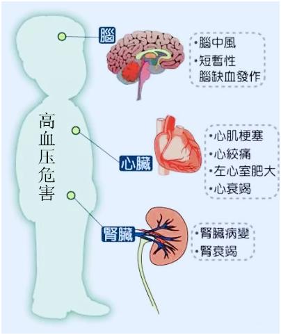 高血压|高血压不要怕，中医教你按摩这7穴，跟着做控血压，副作用小！