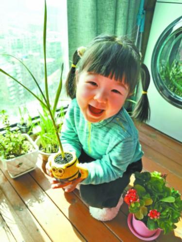 光明网:奶奶再也不愁没小葱炒菜了