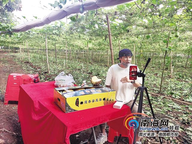 南海网■“直播带货”怎么玩？海南电商告诉你