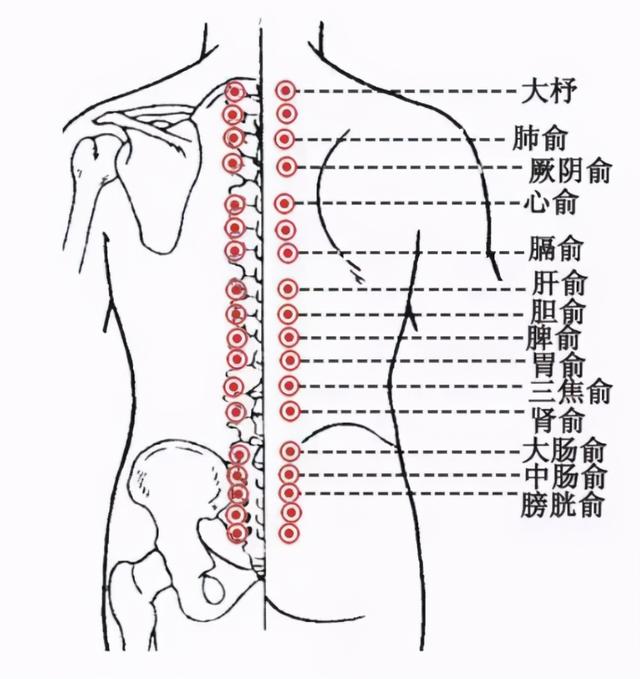 明天就是小寒，寒冷的背后充满生机，养生就做这些事情