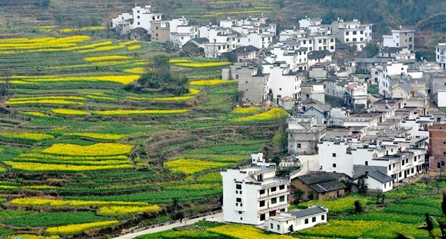 『世界那么大』春天踏青的好去处，这几个地方不妨去看看