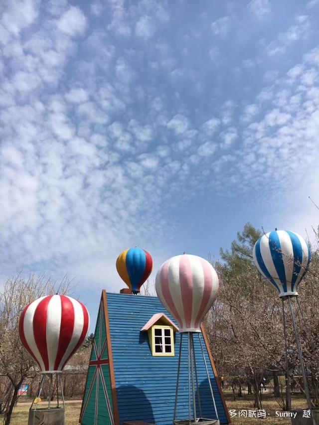 爱肉爱宝，不离不弃，未来可期