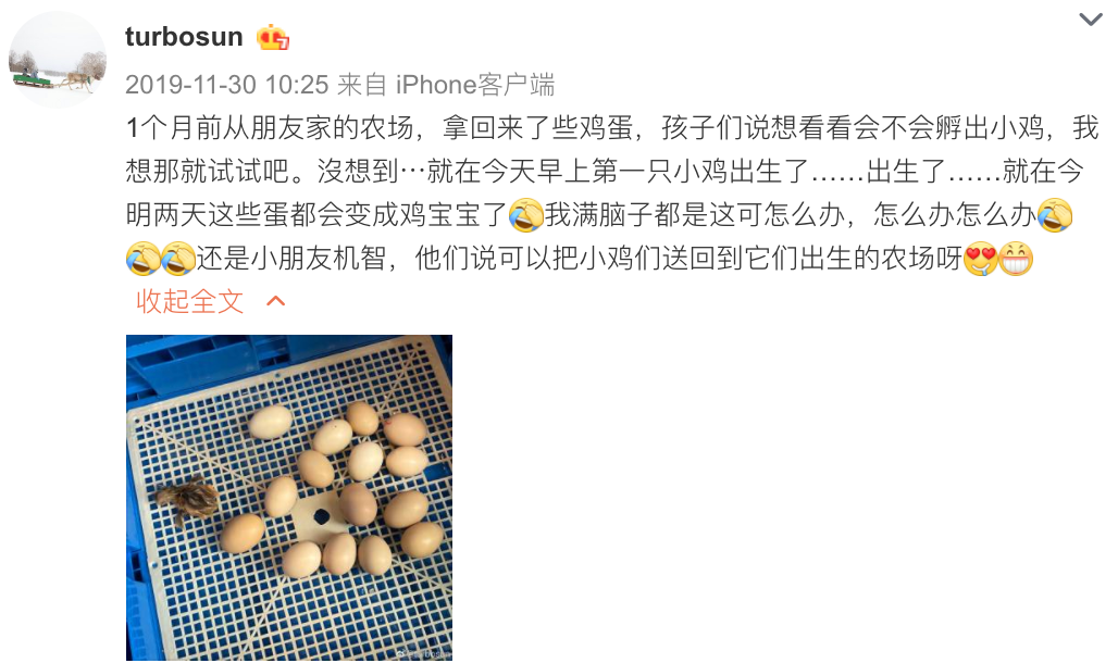 『暖先生格调』刘真去世，4岁女儿不知道妈妈走了？几岁可以和孩子谈生死？