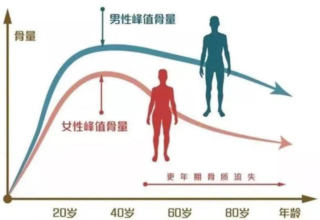 慕尼黑大学：身体有个「衰退曲线」，抗衰从这个年龄开始，赶紧抓住“黄金期”养护身体｜养生主