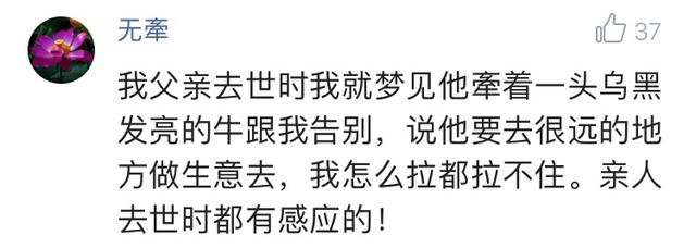 你有过哪些奇怪的梦吗？网友：有哪些梦境，让人无法忘怀？