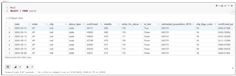 Databricks入门：分析COVID-19