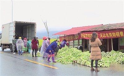 「光明网」茶陵电商助力农产品销售