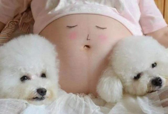 [你的育儿经]怀孕期间不能养宠物，容易被感染弓形虫？其实注意这几点就可以了