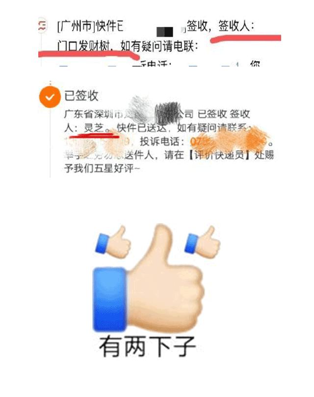 如果你的快递也被电表箱门缝鞋柜代收过...