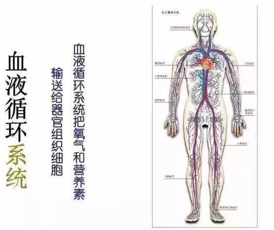 找到自愈癌症的神秘钥匙：他治愈了20多个癌症案例