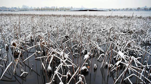 世界那么大@北京雪忆杭州雪