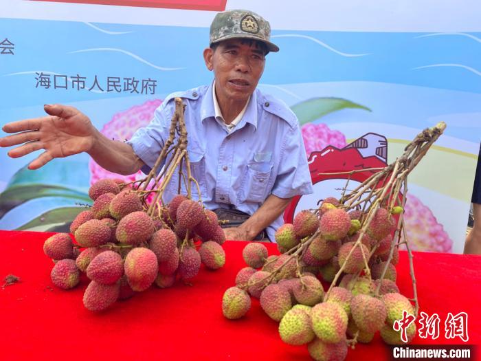 以"甜蜜之约 火荔无限"为主题的2020"海口火山荔枝节"在海口市琼山区