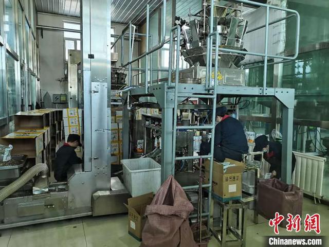 瓜子|小瓜子成富民大产业“中国食葵之乡”北屯瓜子出口全球36国（图）