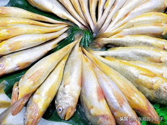 思念淡如水|酥到没有渣的小黄鱼做法，骨酥肉嫩易吸收，孩子常吃个头蹭蹭长