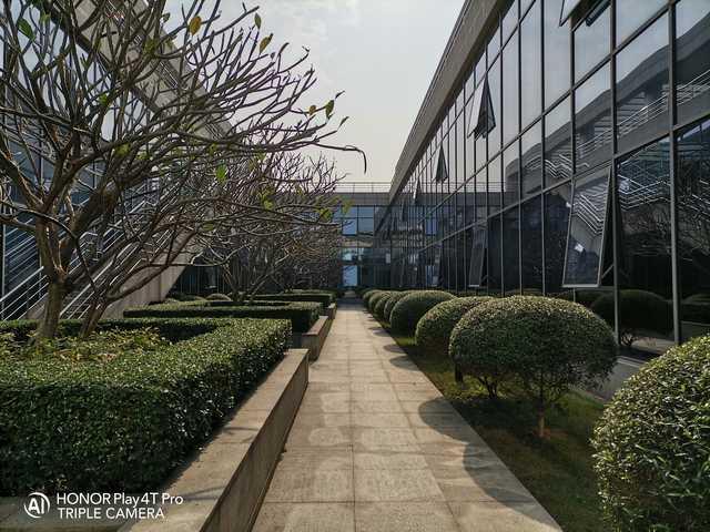 [勇哥科技]荣耀Play4T Pro评测：直出4800万像素，神U开启极致体验
